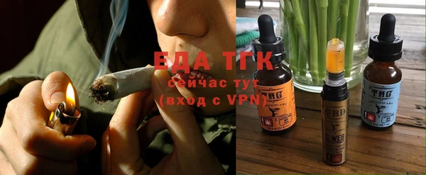 гидра Богородицк