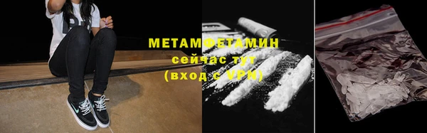 гидра Богородицк