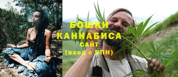 гидра Богородицк