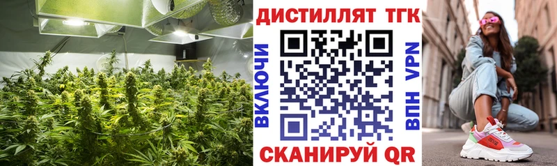 ТГК Wax  Тихорецк 