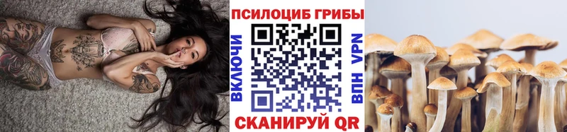 где купить наркоту Тихорецк Галлюциногенные грибы MAGIC MUSHROOMS